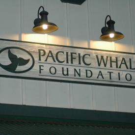 422300441_2bde8ac0d5_o