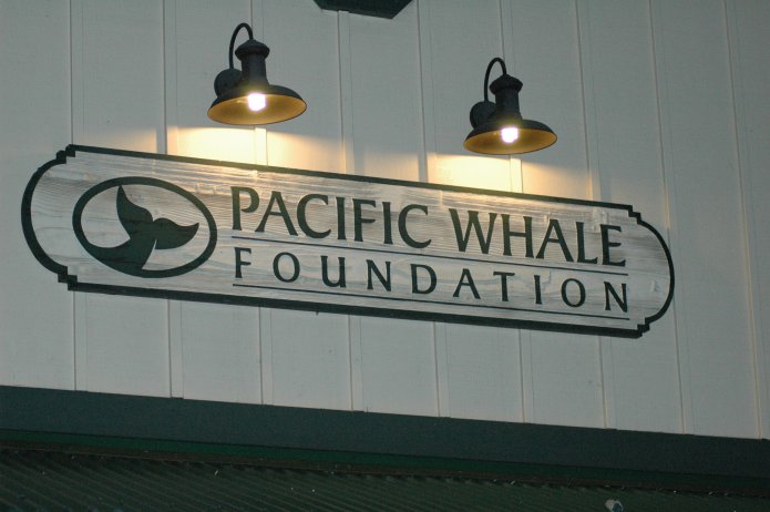 422300441_2bde8ac0d5_o