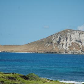 426929571_f41911aad8_o