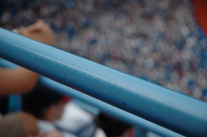 75451018_69c39628f5_o