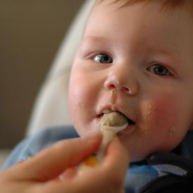 2310840219_4eac9e760e_o