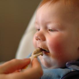 2310842015_0a0ba2a20e_o