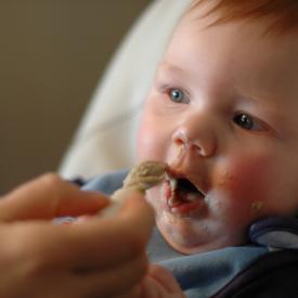 2311650904_31274aa22f_o