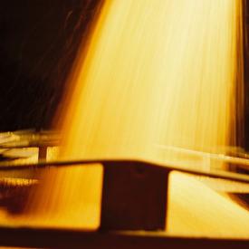 241051930_d1fb7d54e8_o