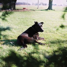 241051970_e5d398e9a0_o