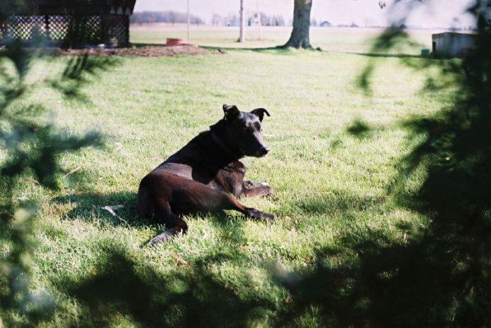 241051970_e5d398e9a0_o