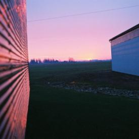 241051993_c13829cf46_o