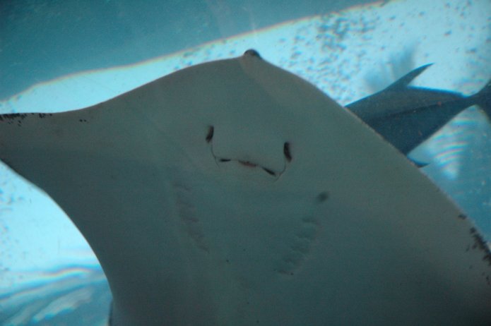 426922821_373670f2d2_o