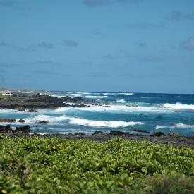 426961188_7d884f8d8d_o