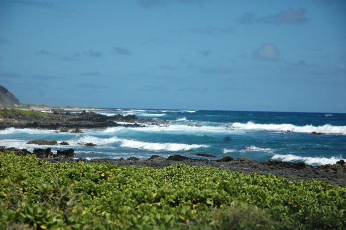 426961188_7d884f8d8d_o