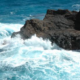 426964260_2395f5b327_o