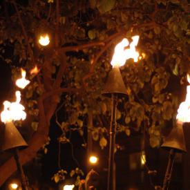 426972026_9674345c97_o