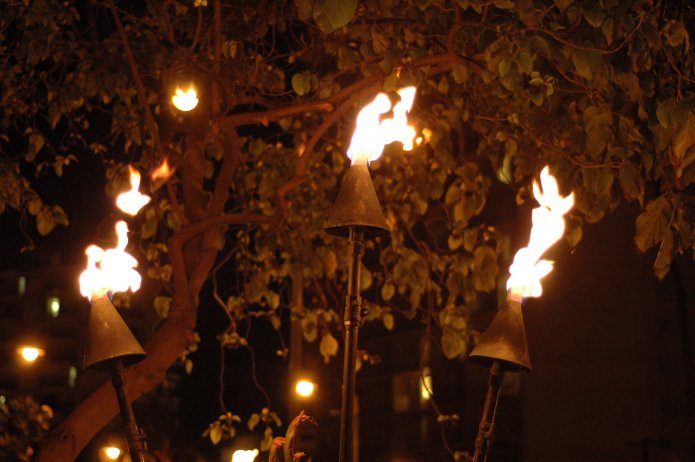 426972026_9674345c97_o