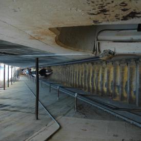 426973309_0f5865e94c_o