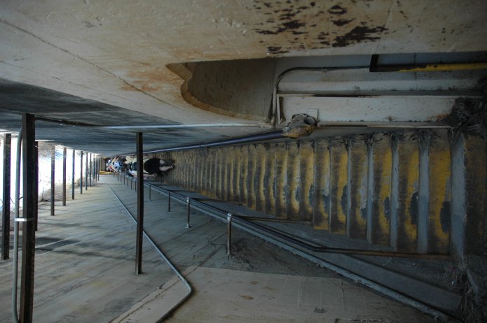 426973309_0f5865e94c_o