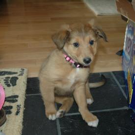 249258097_a7871c194f_o