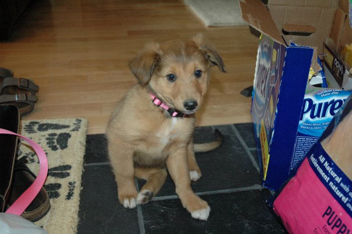 249258097_a7871c194f_o