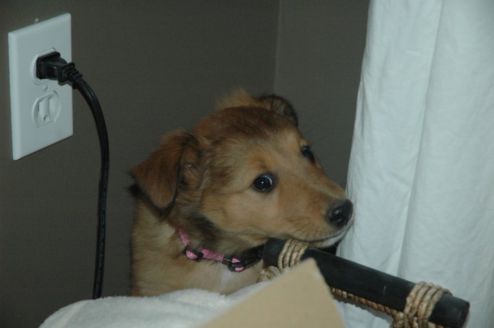 249258303_35dc2afdac_o