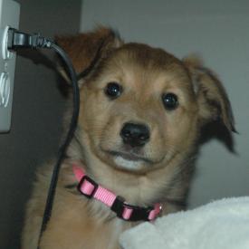 249258518_3da2445888_o