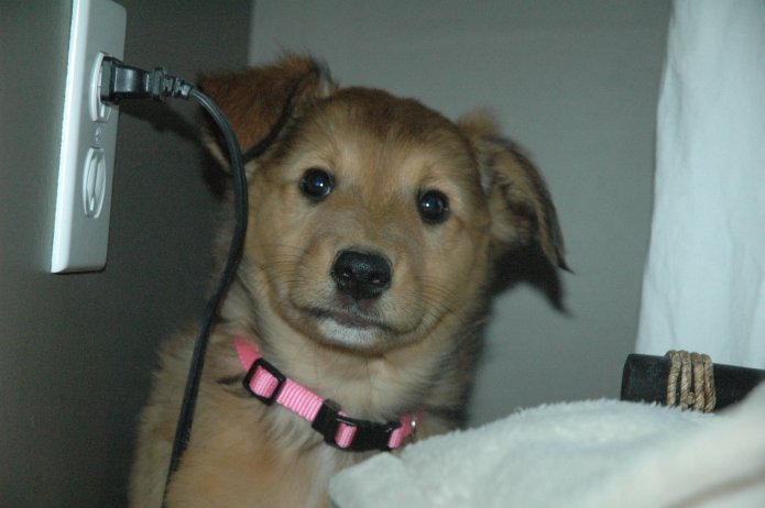 249258518_3da2445888_o