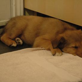 249258692_7f64e91d52_o