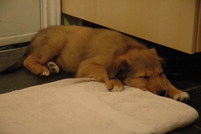 249258692_7f64e91d52_o