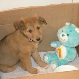 249258872_b7c00a6bba_o