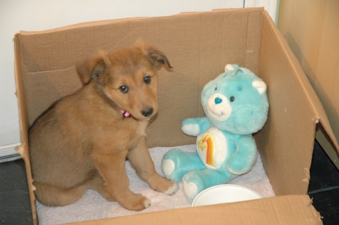 249258872_b7c00a6bba_o