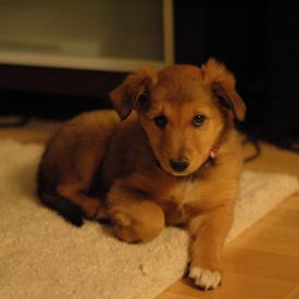 250534721_7d51cb3669_o