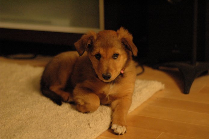 250534721_7d51cb3669_o