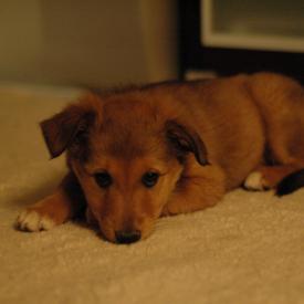 250535605_9079a16263_o