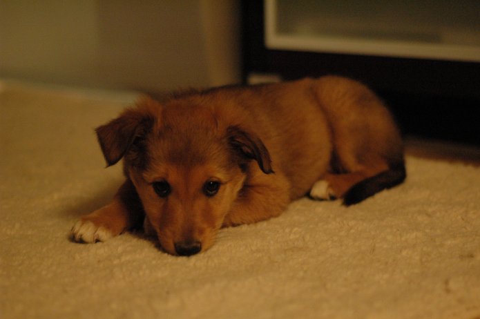 250535605_9079a16263_o