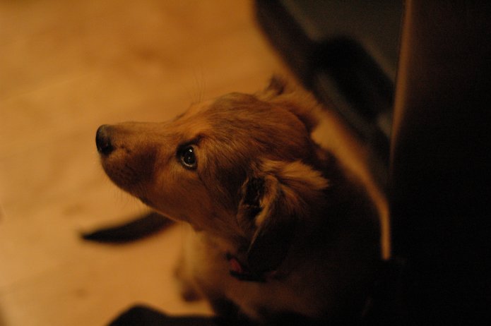 250536322_4da8b0e627_o