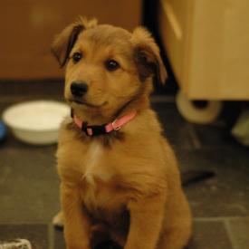 250536569_e0326811ea_o