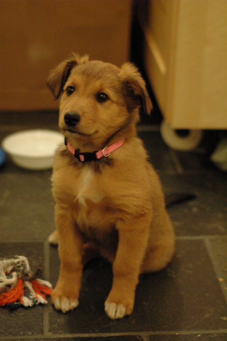 250536569_e0326811ea_o