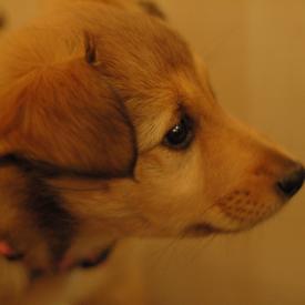 250537346_c436b067e5_o