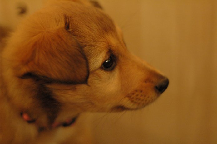 250537346_c436b067e5_o