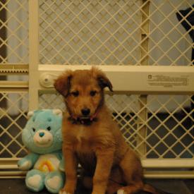 250537590_bc109e7791_o