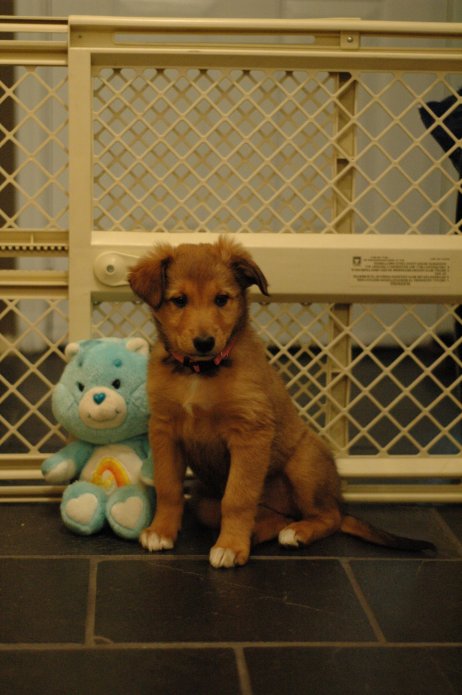 250537590_bc109e7791_o