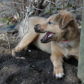 266303988_d942a3d41d_o