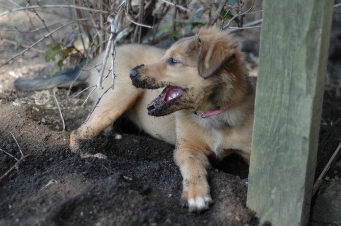 266303988_d942a3d41d_o