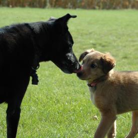 266304932_c2e3eb57e4_o