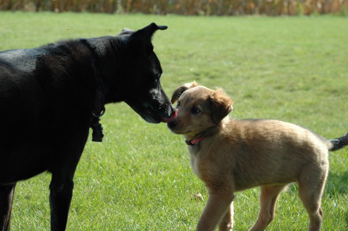 266304932_c2e3eb57e4_o