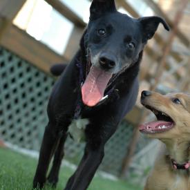 266305698_56d1b77ebc_o