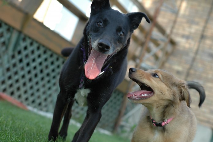 266305698_56d1b77ebc_o