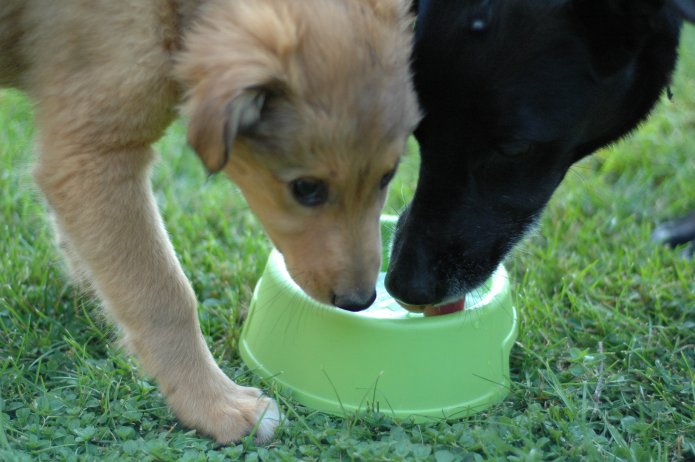 266306529_adba4ae732_o