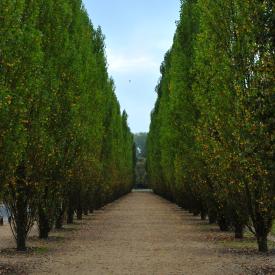 2010-09-28-paris-day-4-046