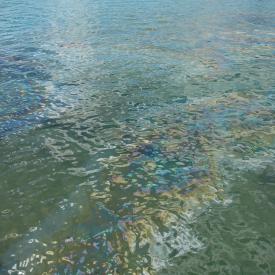 427014411_e09534057d_o