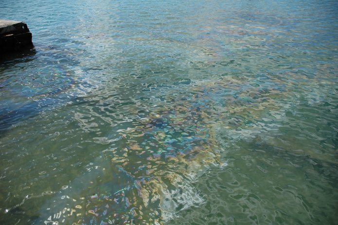 427014411_e09534057d_o