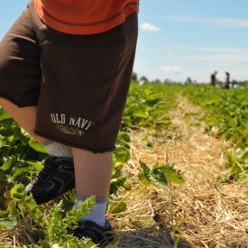 4691002477_5b5f45411e_o